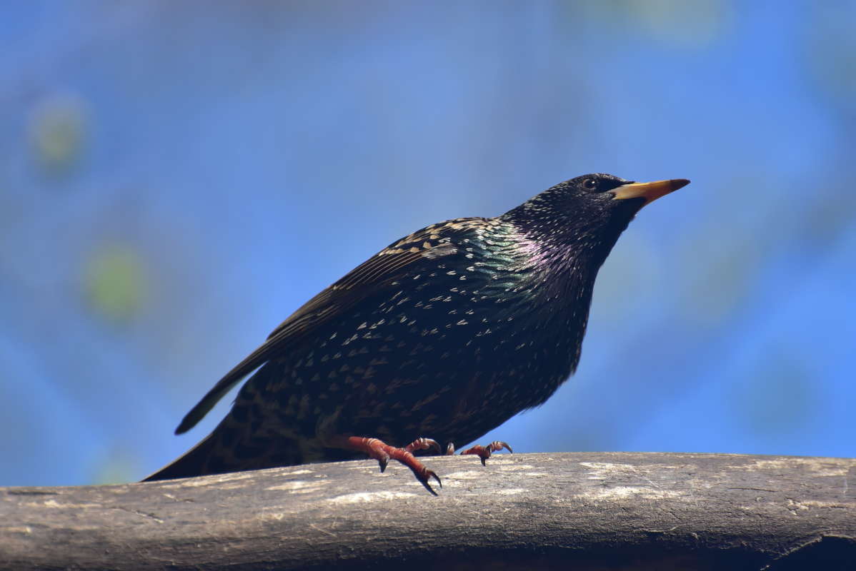 ... ����� �����  �� PhotoGeek.ru #�������� ���