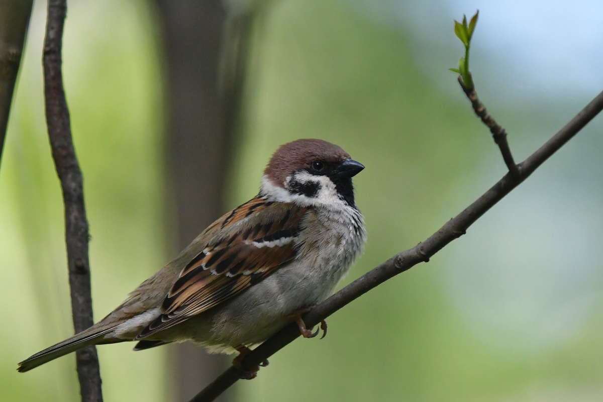 ... ����� �����  �� PhotoGeek.ru #�������� ��� #����� ��� ��� ���������