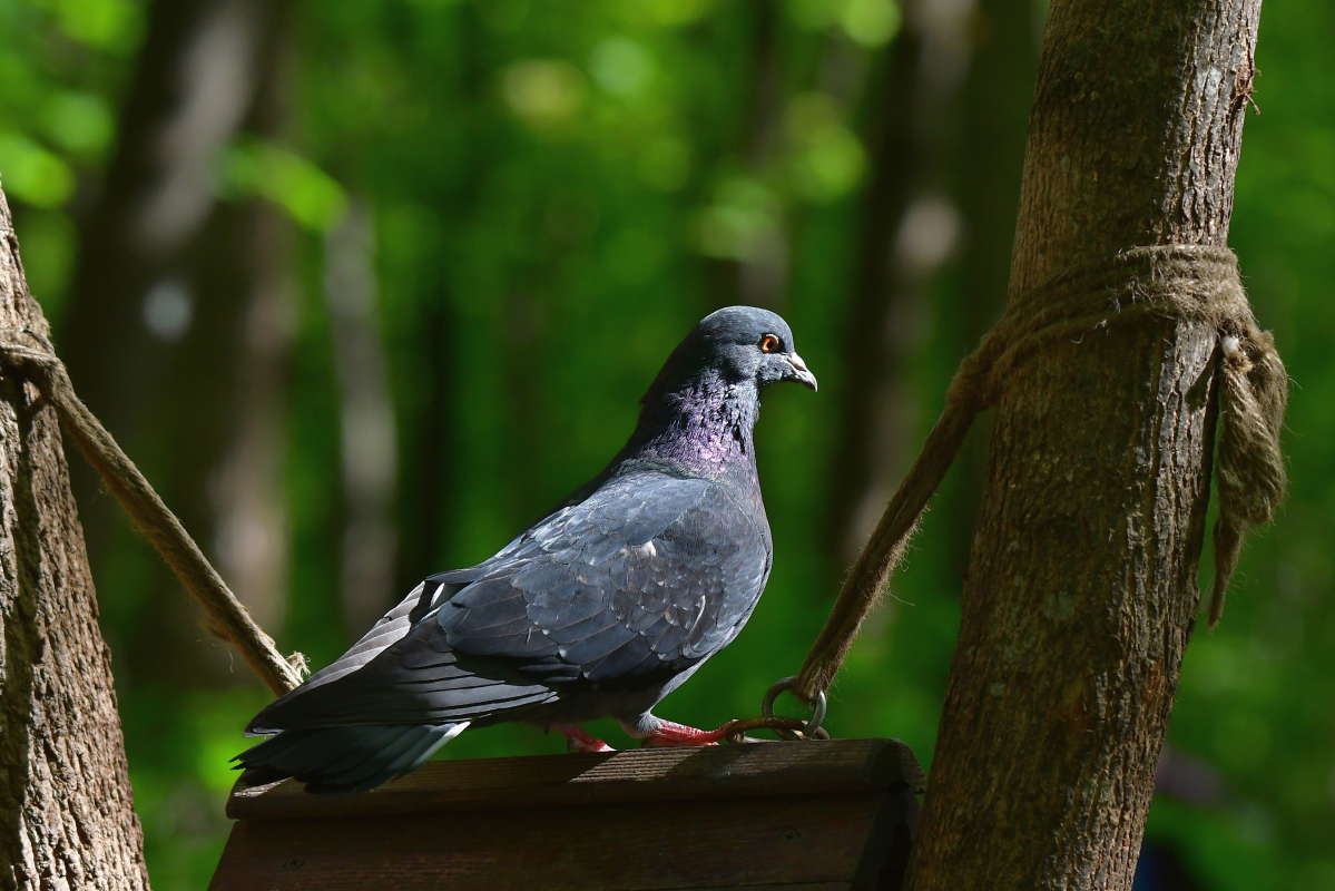 ... ����� �����  �� PhotoGeek.ru #�������� ���