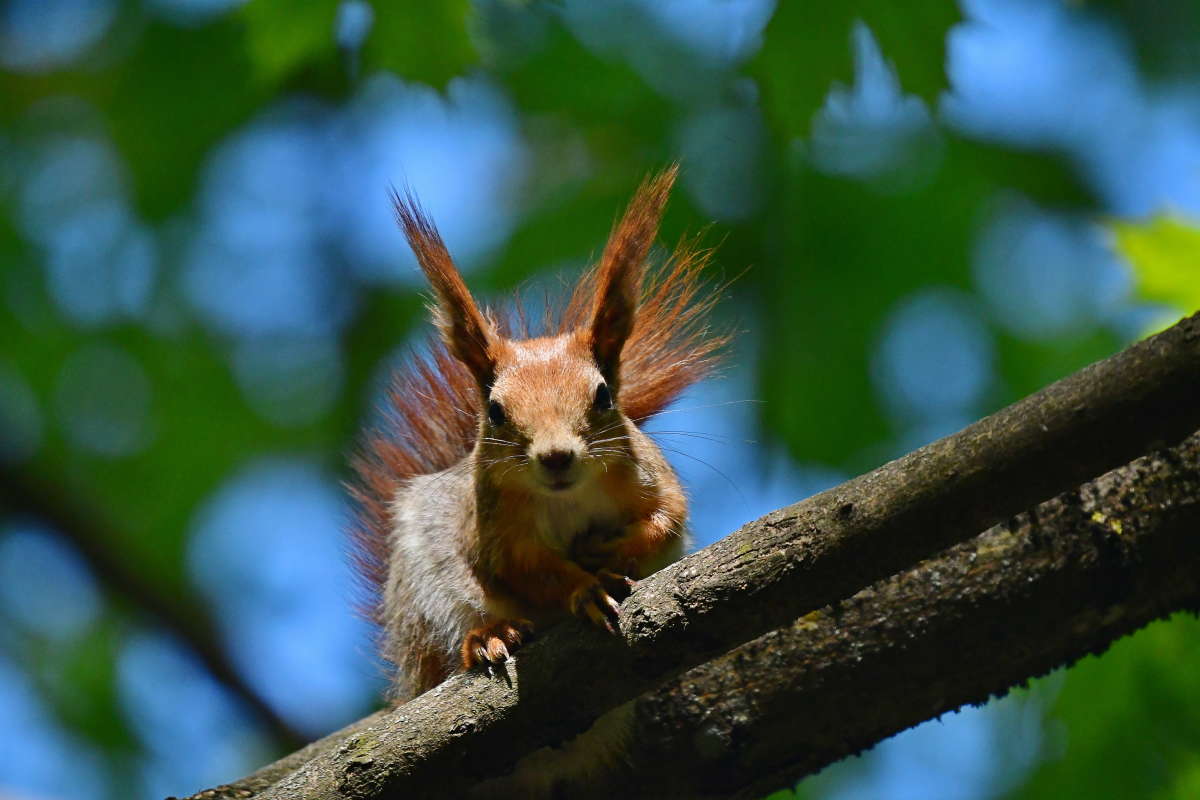 ... ����� �����  �� PhotoGeek.ru #�������� ���