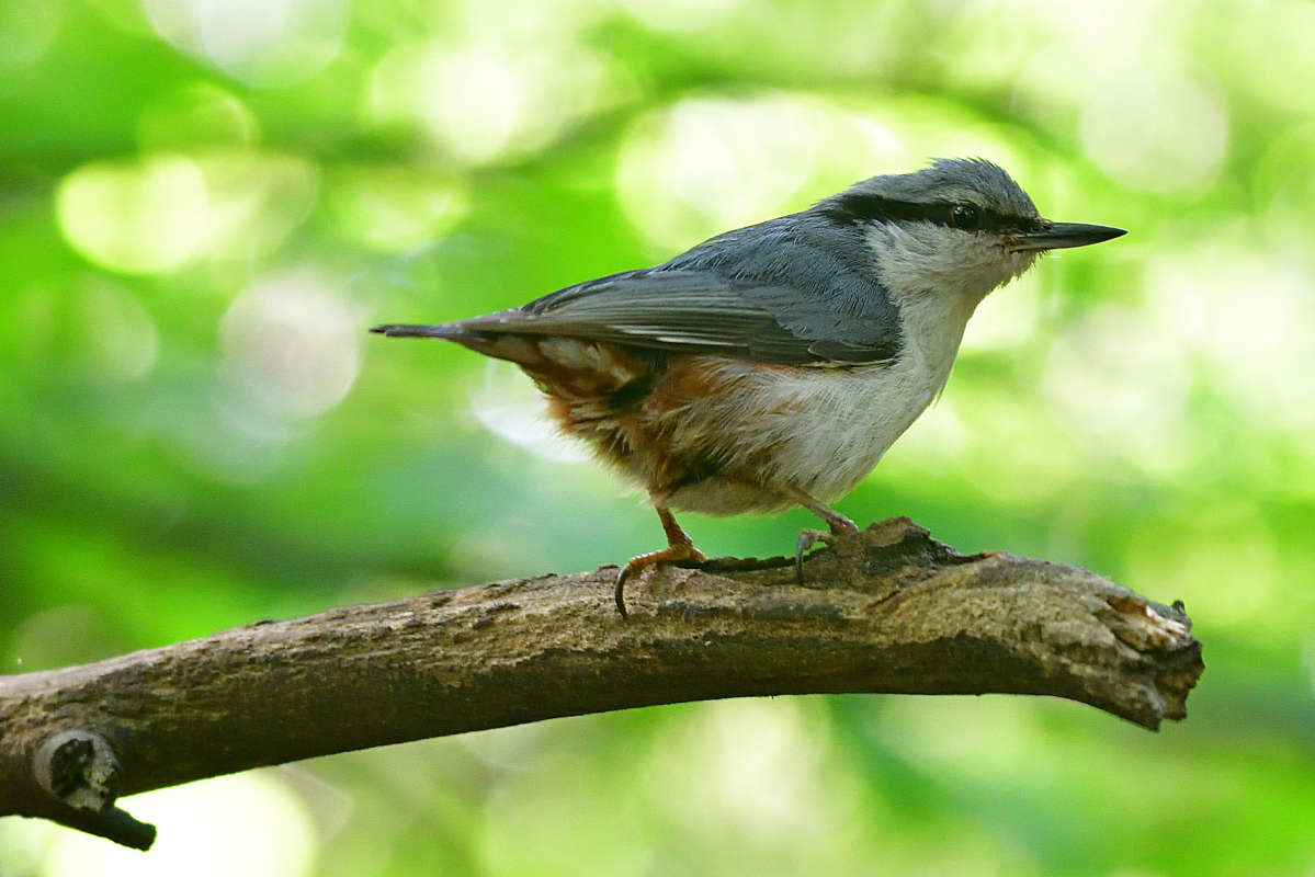 ... ����� �����  �� PhotoGeek.ru #�������� ���