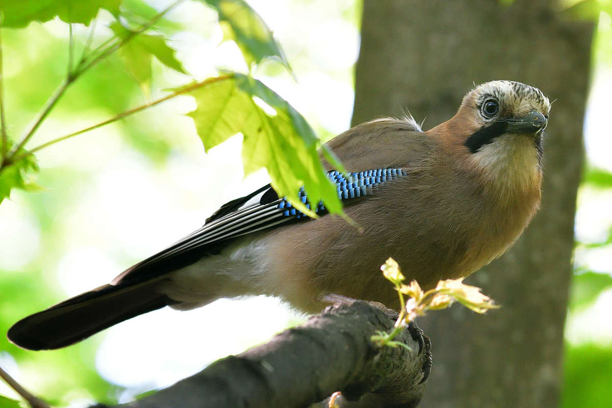 ... ����� �����  �� PhotoGeek.ru #�������� ���