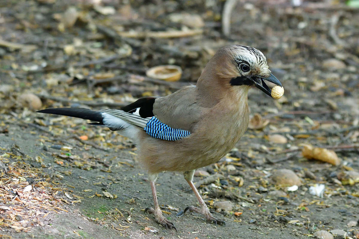 ... ����� �����  �� PhotoGeek.ru #�������� ���