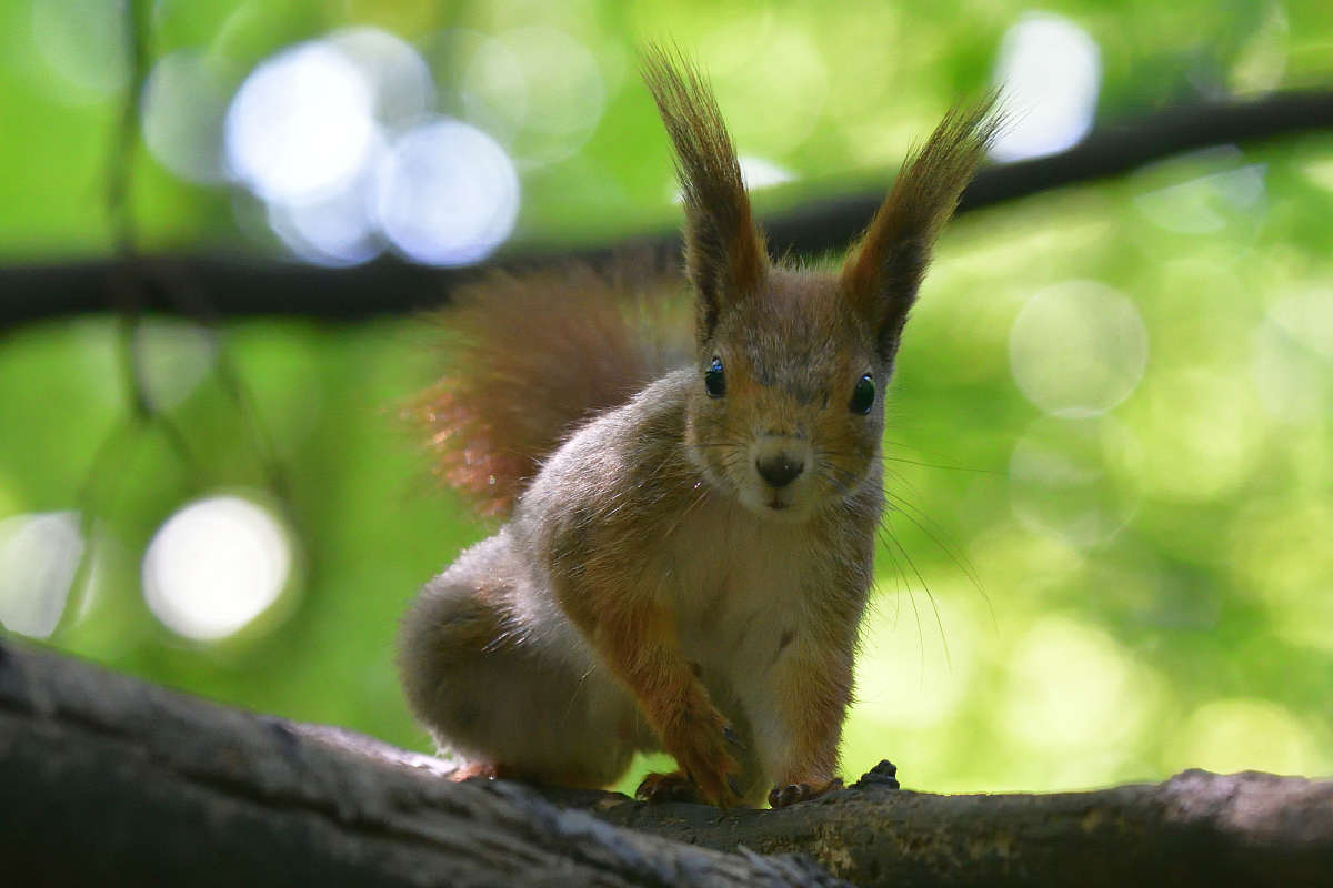 ... ����� �����  �� PhotoGeek.ru #�������� ���