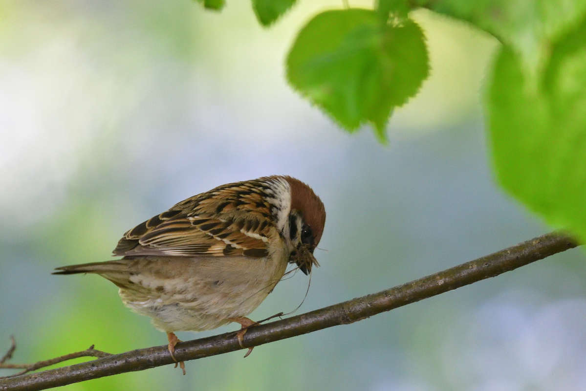 ... ����� �����  �� PhotoGeek.ru #�������� ���