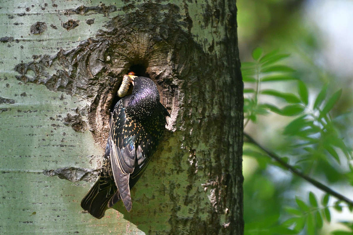 ... ����� �����  �� PhotoGeek.ru #�������� ���