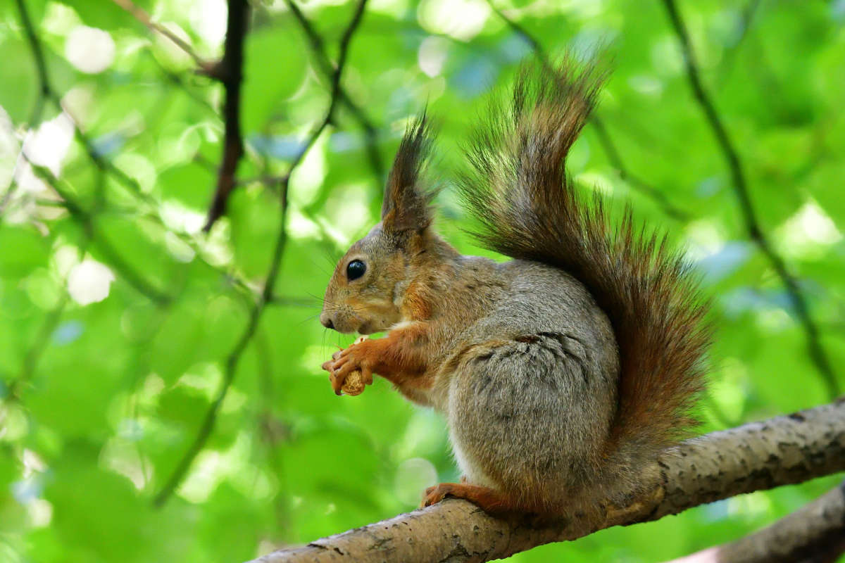 ... ����� �����  �� PhotoGeek.ru #�������� ���