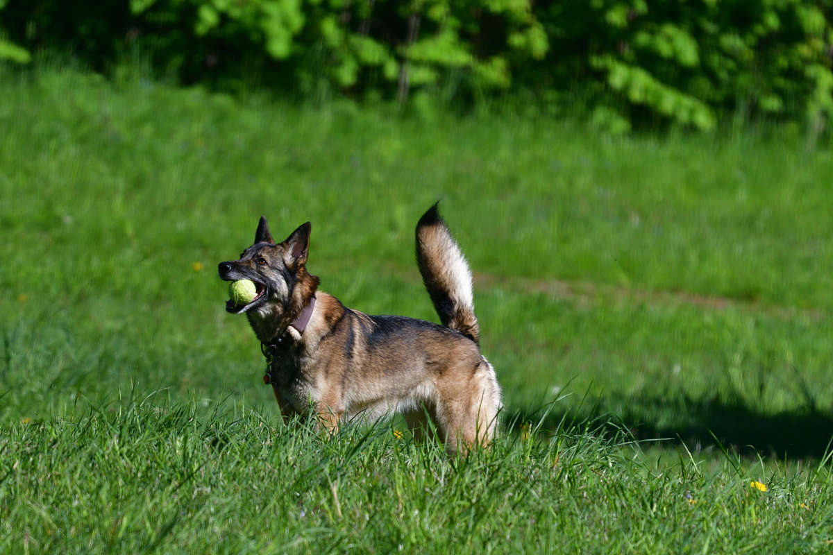 ... ����� �����  �� PhotoGeek.ru #�������� ���