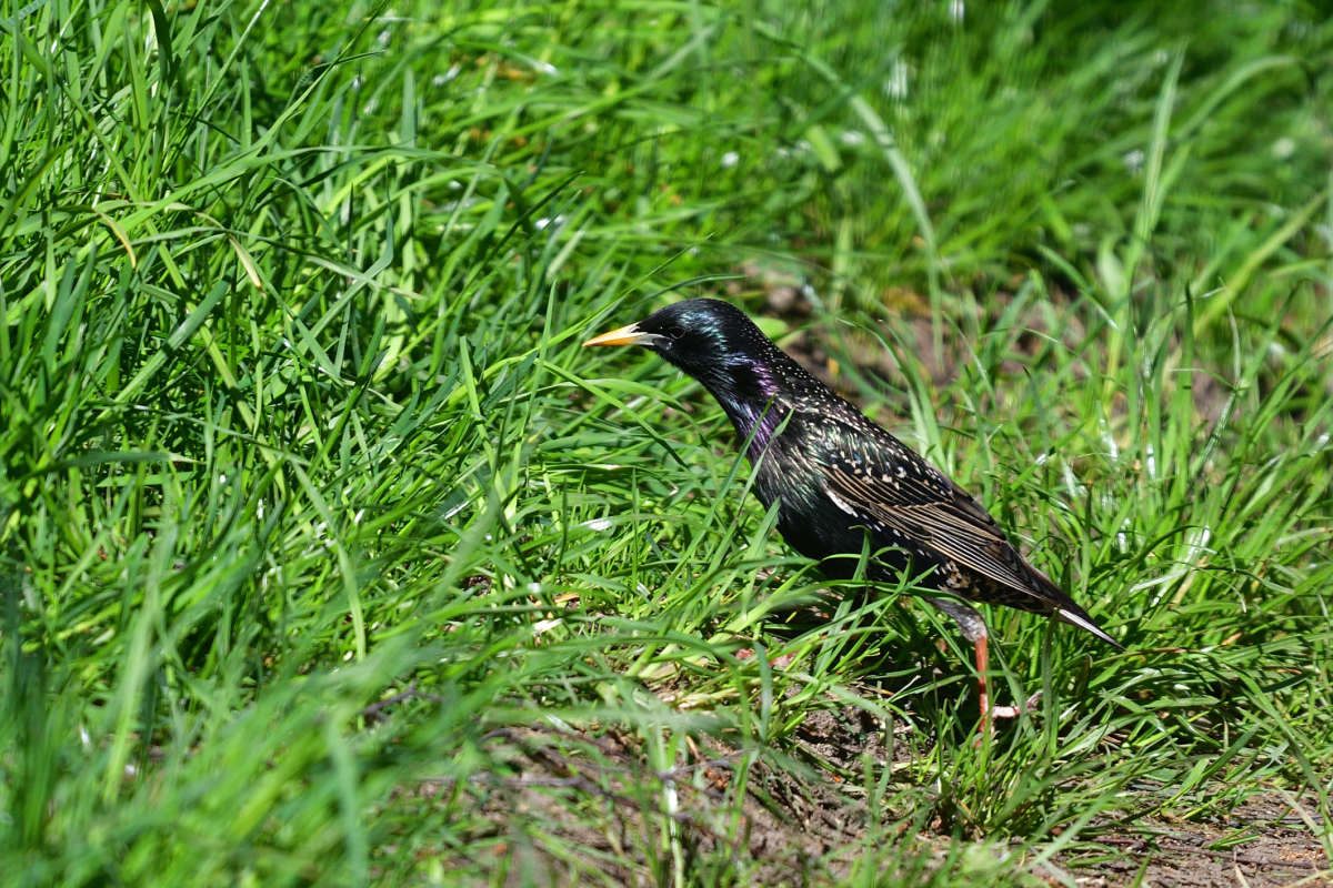 ... ����� �����  �� PhotoGeek.ru #�������� ���