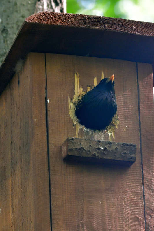 ... ����� �����  �� PhotoGeek.ru #�������� ���