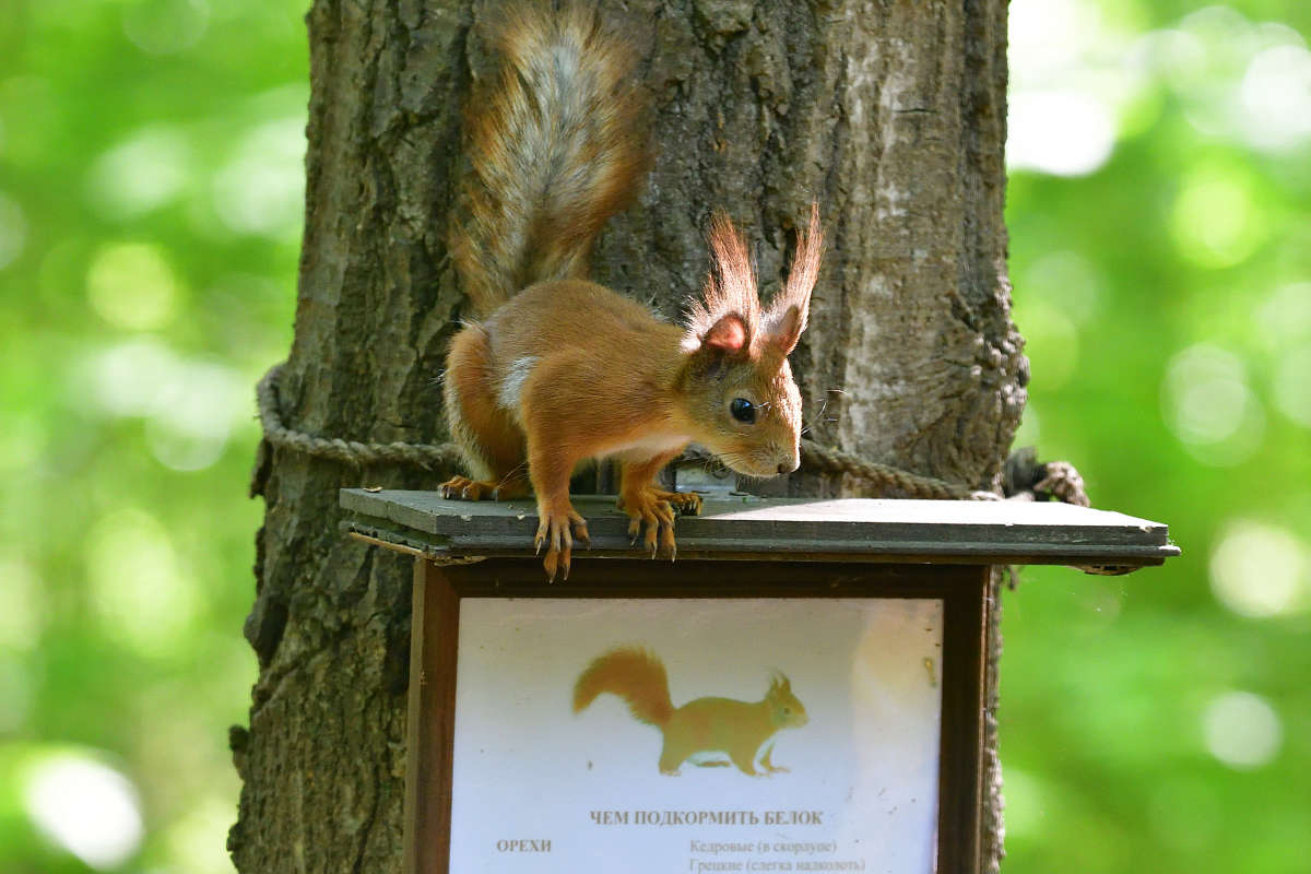 ��� � ����? ����� �����  �� PhotoGeek.ru #�������� ���