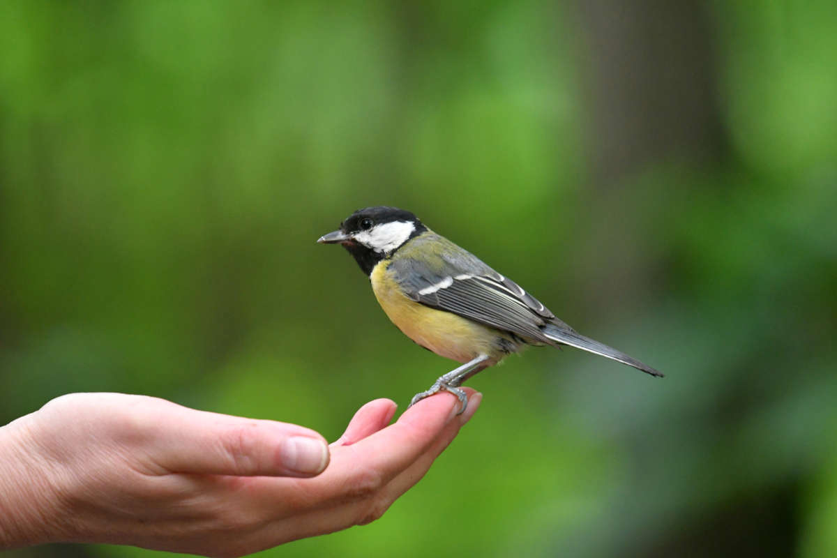 ... ����� �����  �� PhotoGeek.ru #�������� ���