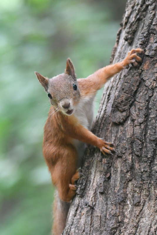 ... ����� �����  �� PhotoGeek.ru #�������� ���