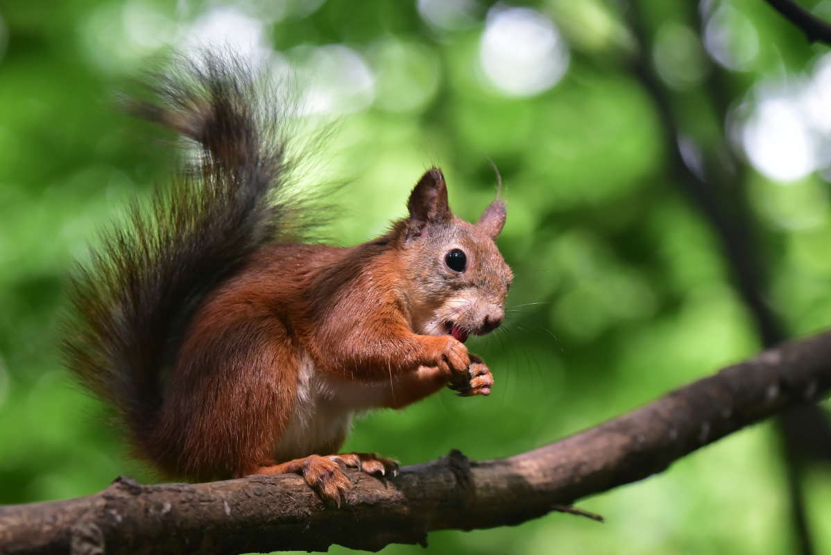 ...     PhotoGeek.ru # 