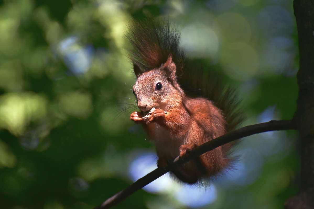 ... ����� �����  �� PhotoGeek.ru #�������� ���