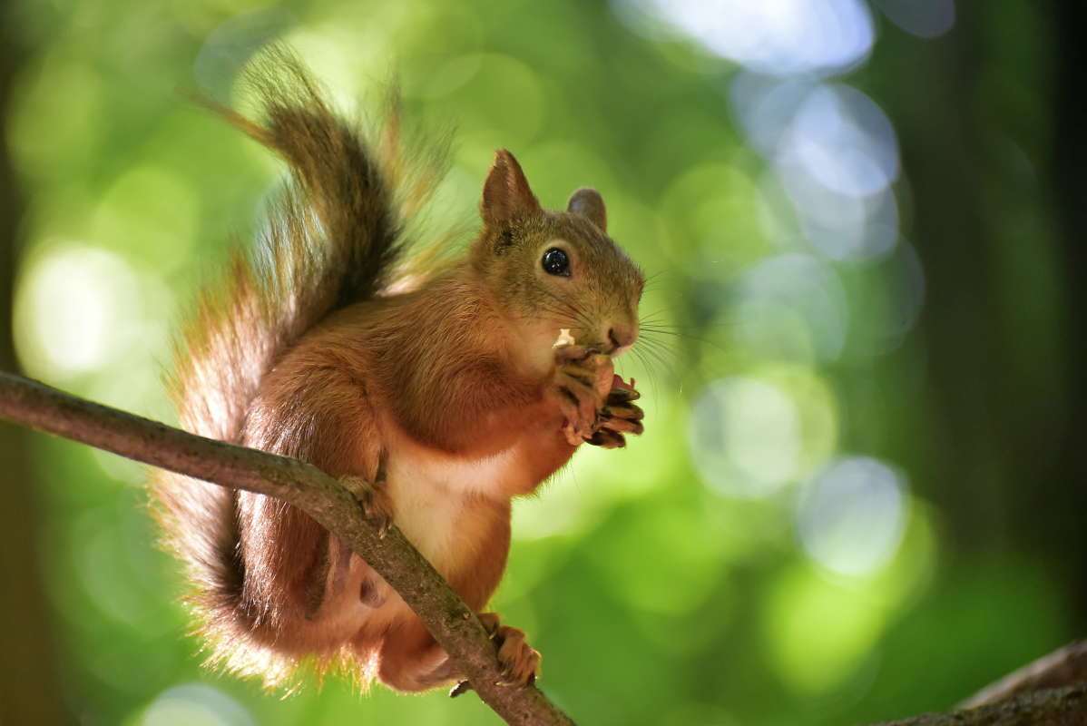 ...     PhotoGeek.ru # 