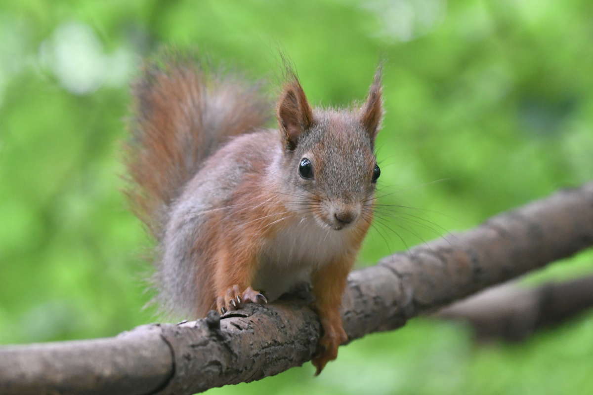 ... ����� �����  �� PhotoGeek.ru #�������� ���