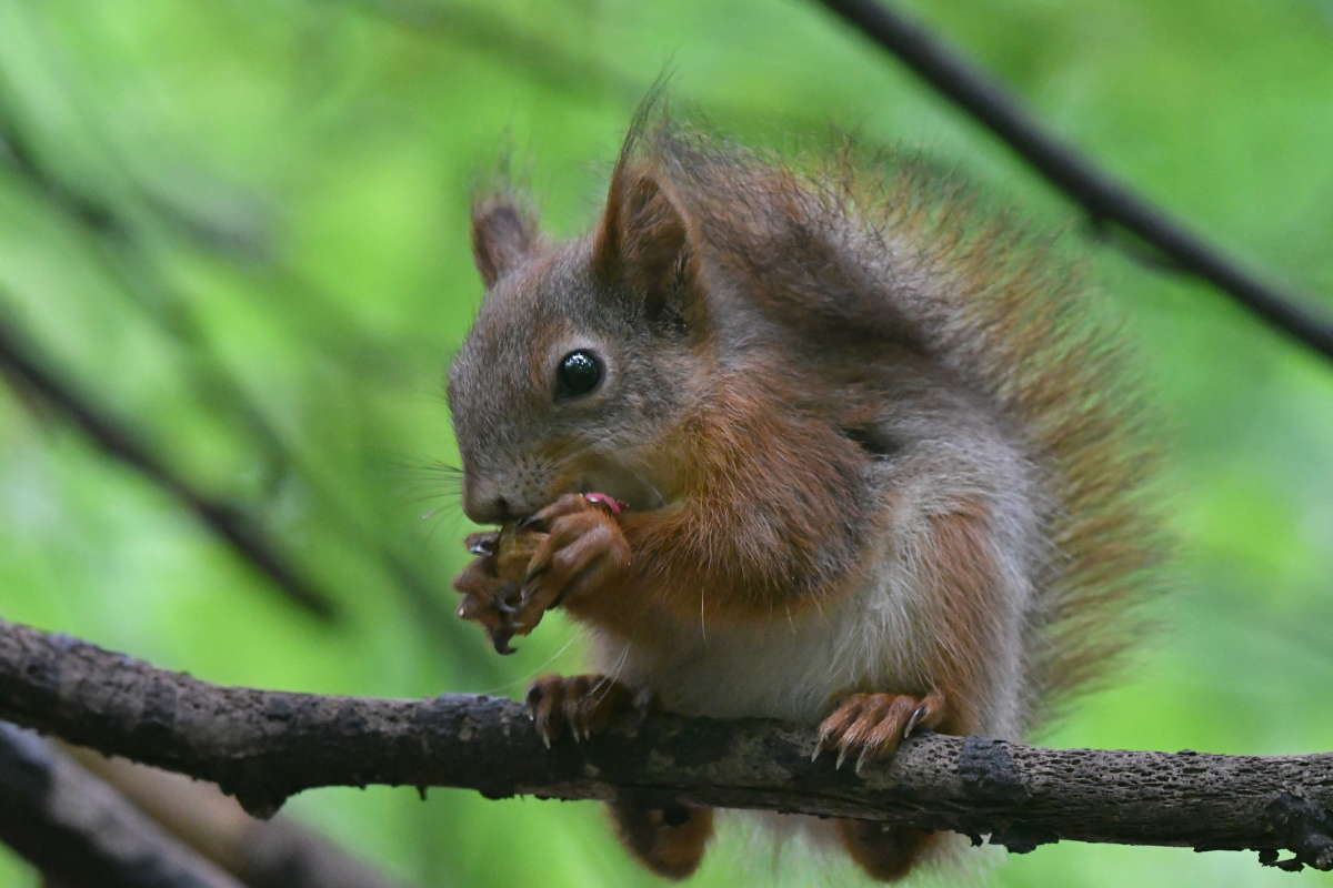 ... ����� �����  �� PhotoGeek.ru #�������� ���