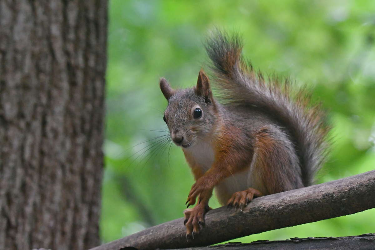 ... ����� �����  �� PhotoGeek.ru #�������� ���