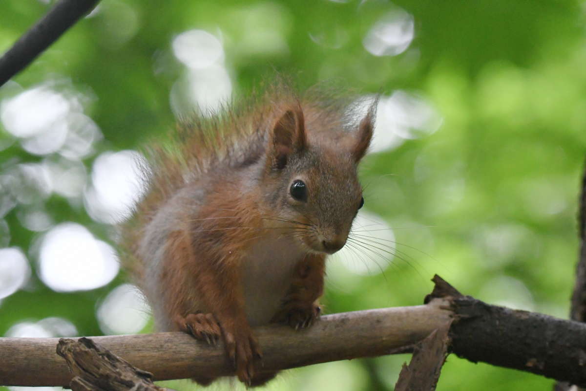 ... ����� �����  �� PhotoGeek.ru #�������� ���