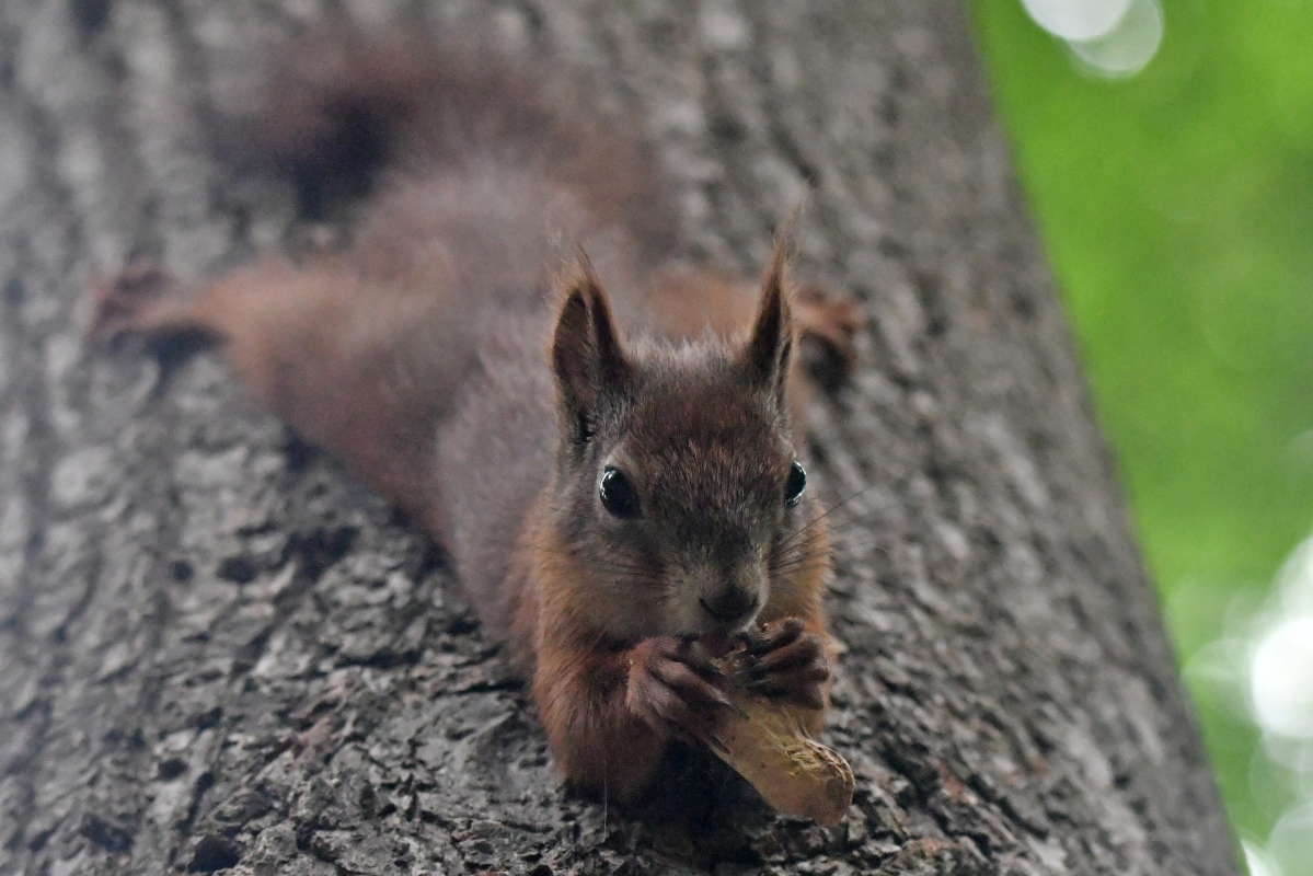 ... ����� �����  �� PhotoGeek.ru #�������� ���