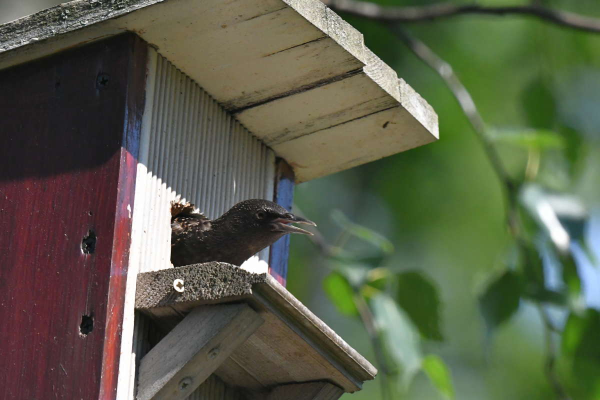 ... ����� �����  �� PhotoGeek.ru #�������� ���