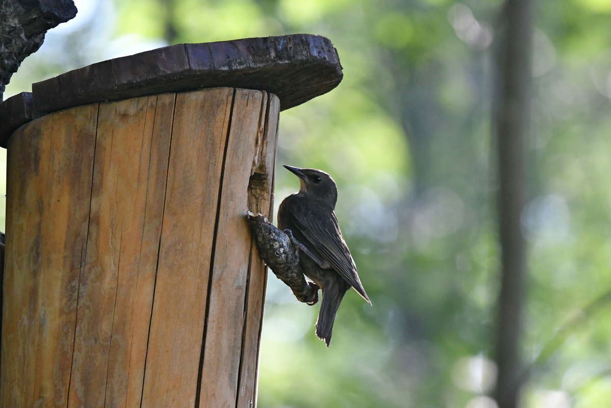 ... ����� �����  �� PhotoGeek.ru #�������� ���