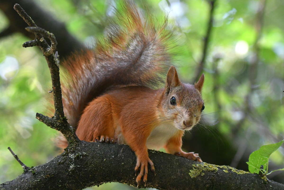 ... ����� �����  �� PhotoGeek.ru #�������� ���