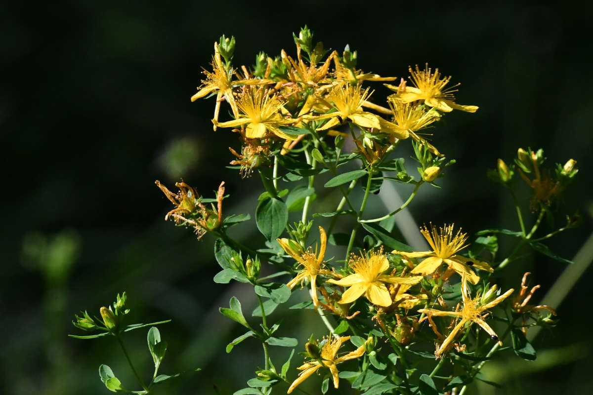 ... ����� �����  �� PhotoGeek.ru #������ ��� ������� #����� ��������������