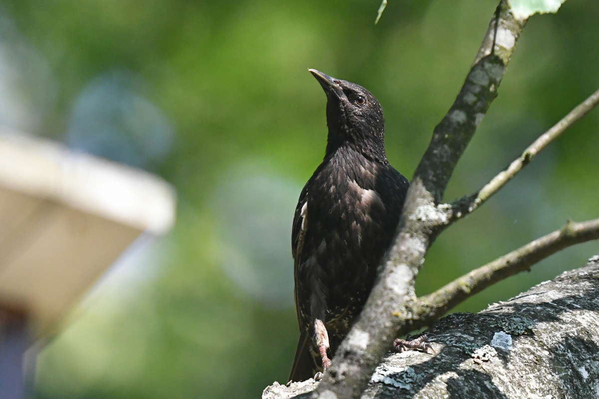 ... ����� �����  �� PhotoGeek.ru #�������� ���