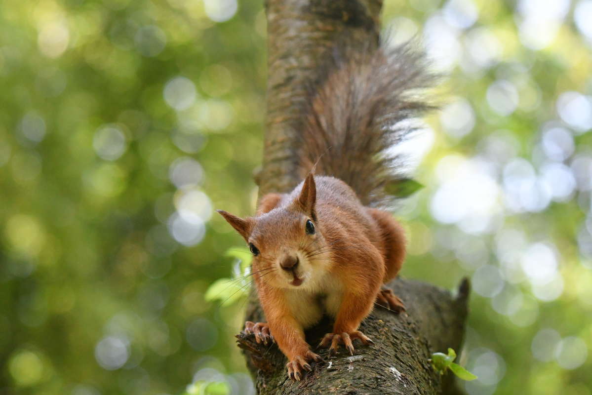 ... ����� �����  �� PhotoGeek.ru #�������� ���