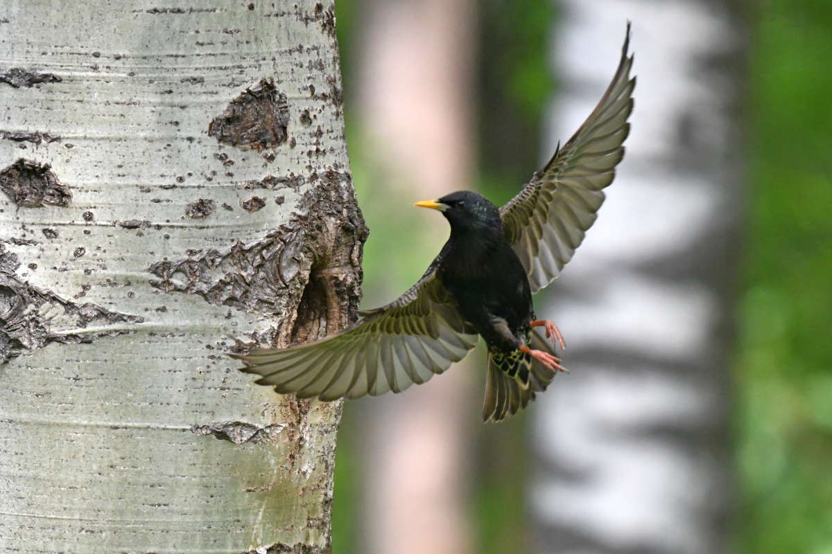 ... ����� �����  �� PhotoGeek.ru #�������� ���