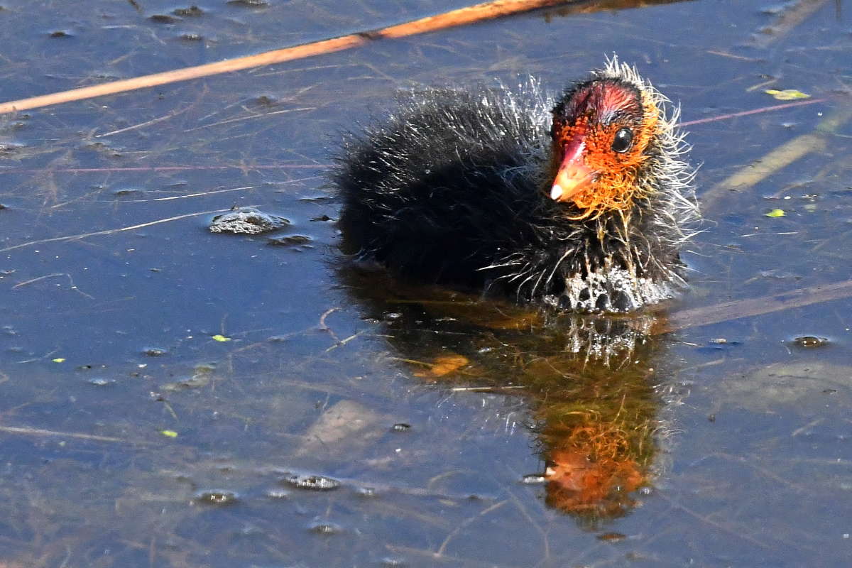 ... ����� �����  �� PhotoGeek.ru #�������� ���