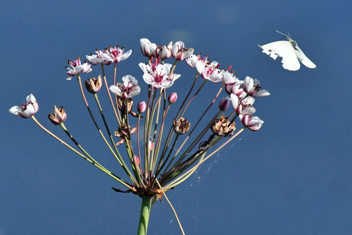 ... ����� �����  �� PhotoGeek.ru #������ ��� ������� #����� ��������������