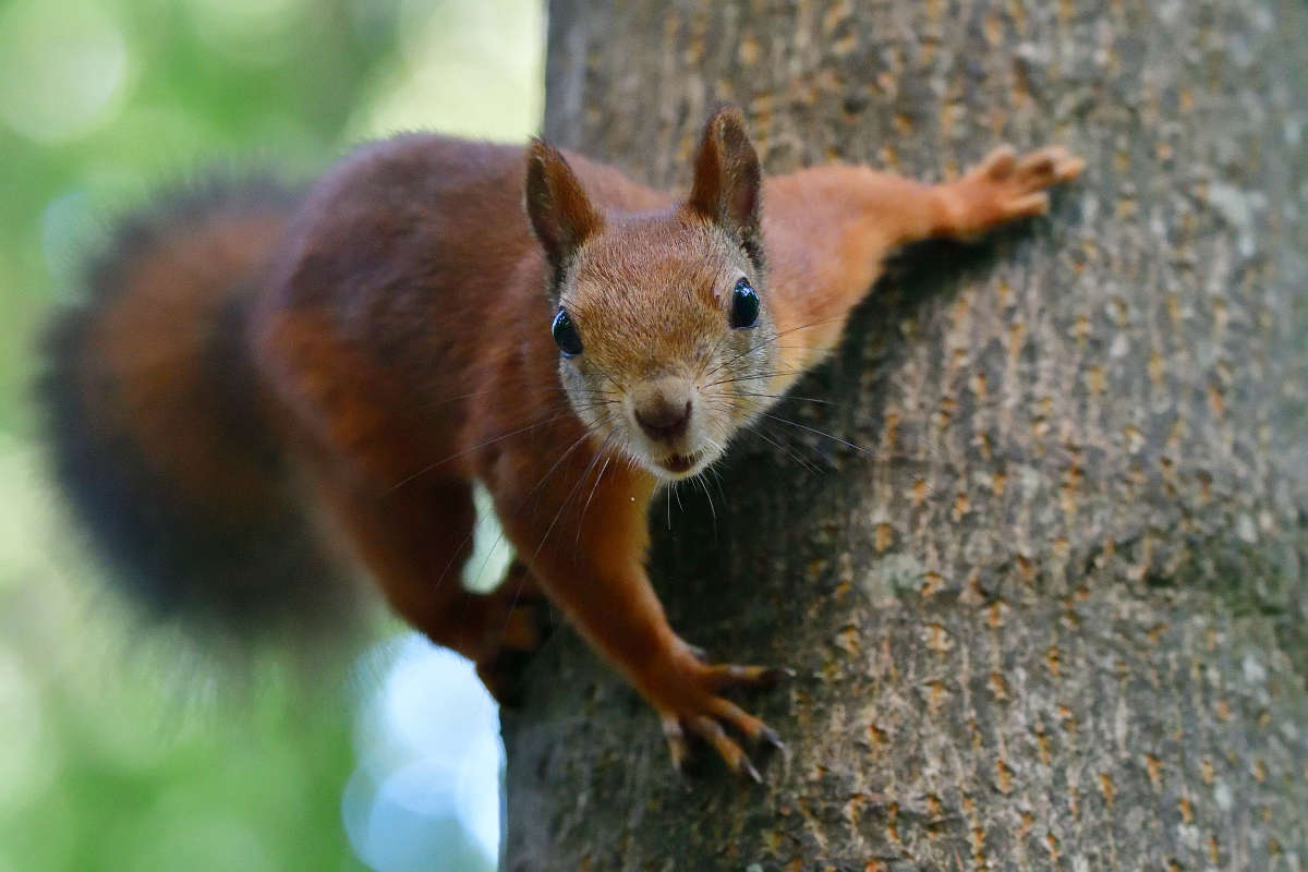 ... ����� �����  �� PhotoGeek.ru #�������� ���