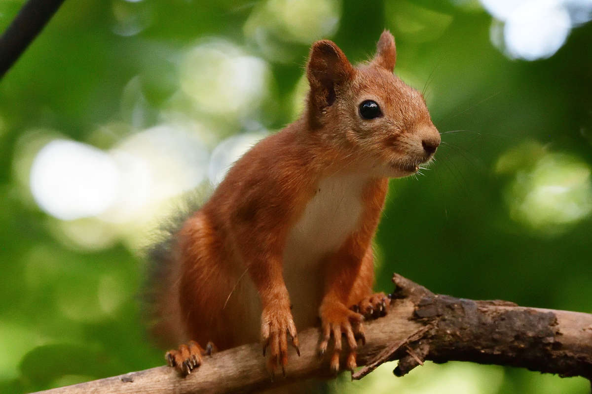 ... ����� �����  �� PhotoGeek.ru #�������� ���