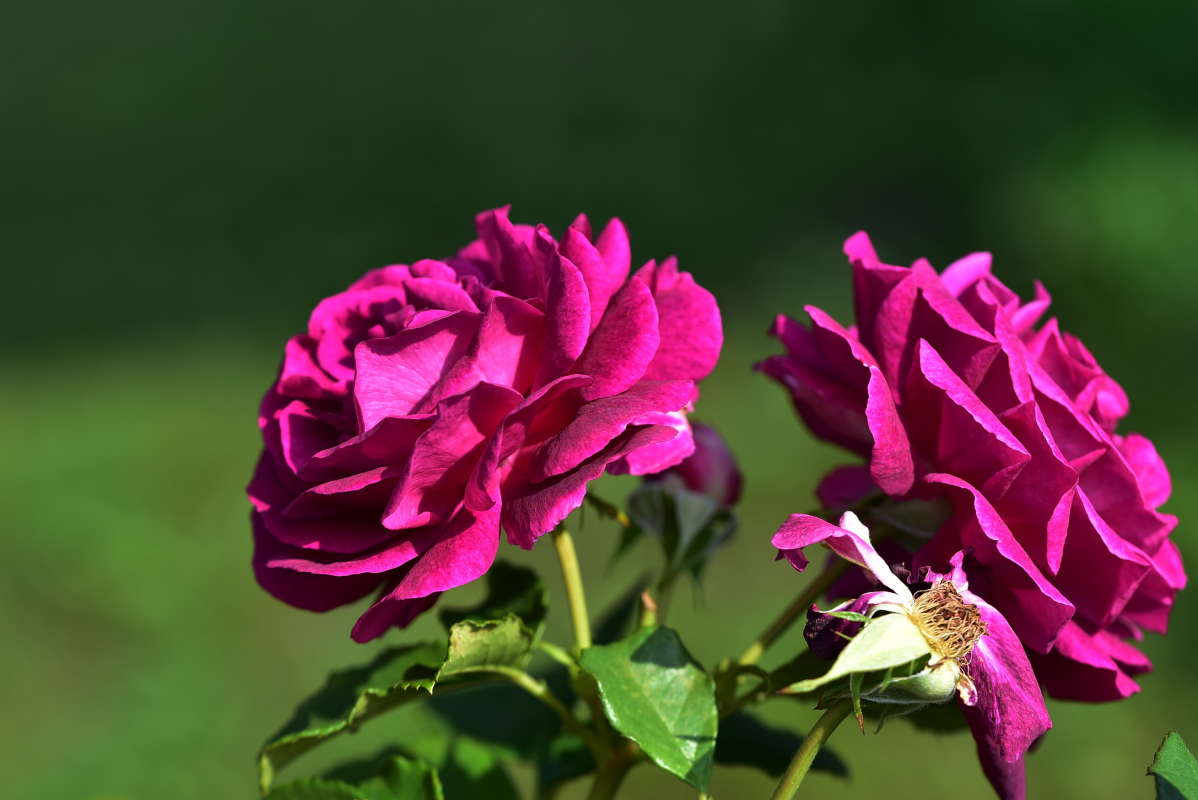 ... ����� �����  �� PhotoGeek.ru #������ ��� ������� #����� ��������������