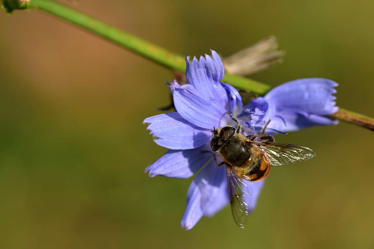 ... ����� �����  �� PhotoGeek.ru #������ ��� ������� #����� ��������������