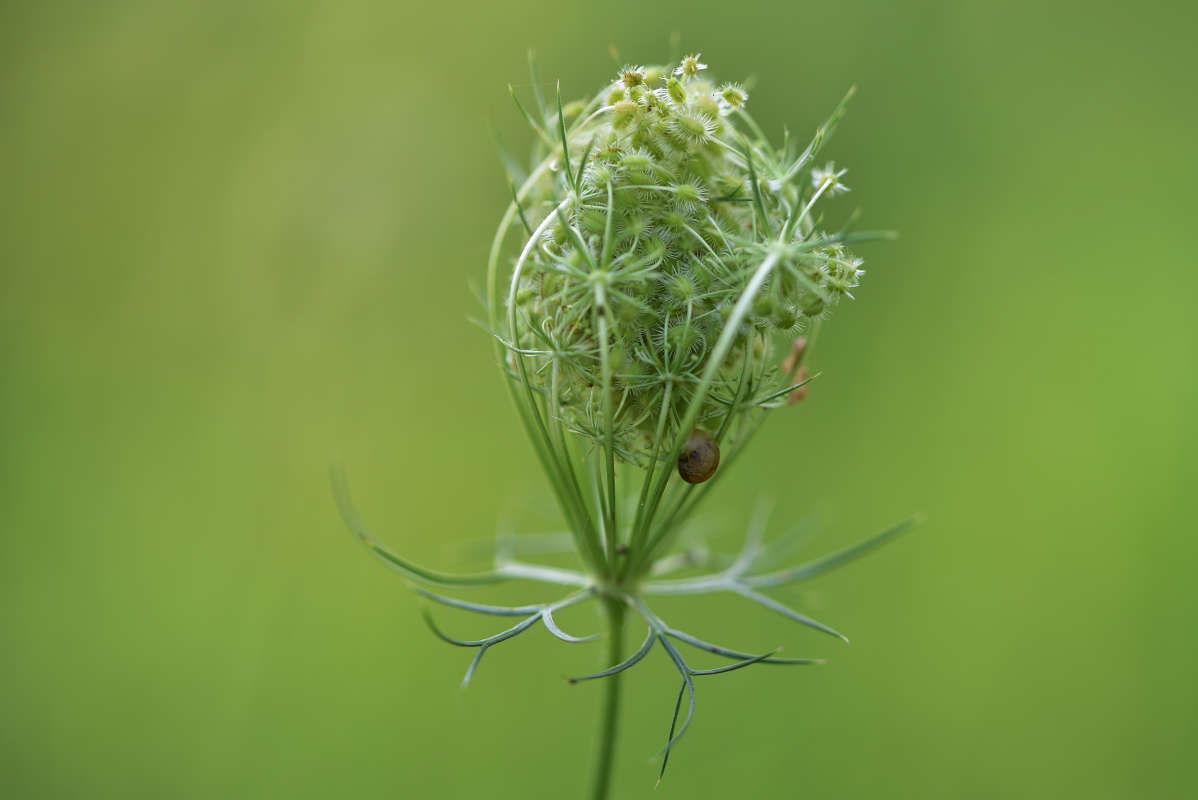 ... ����� �����  �� PhotoGeek.ru #������ ��� ������� #����� ��������������