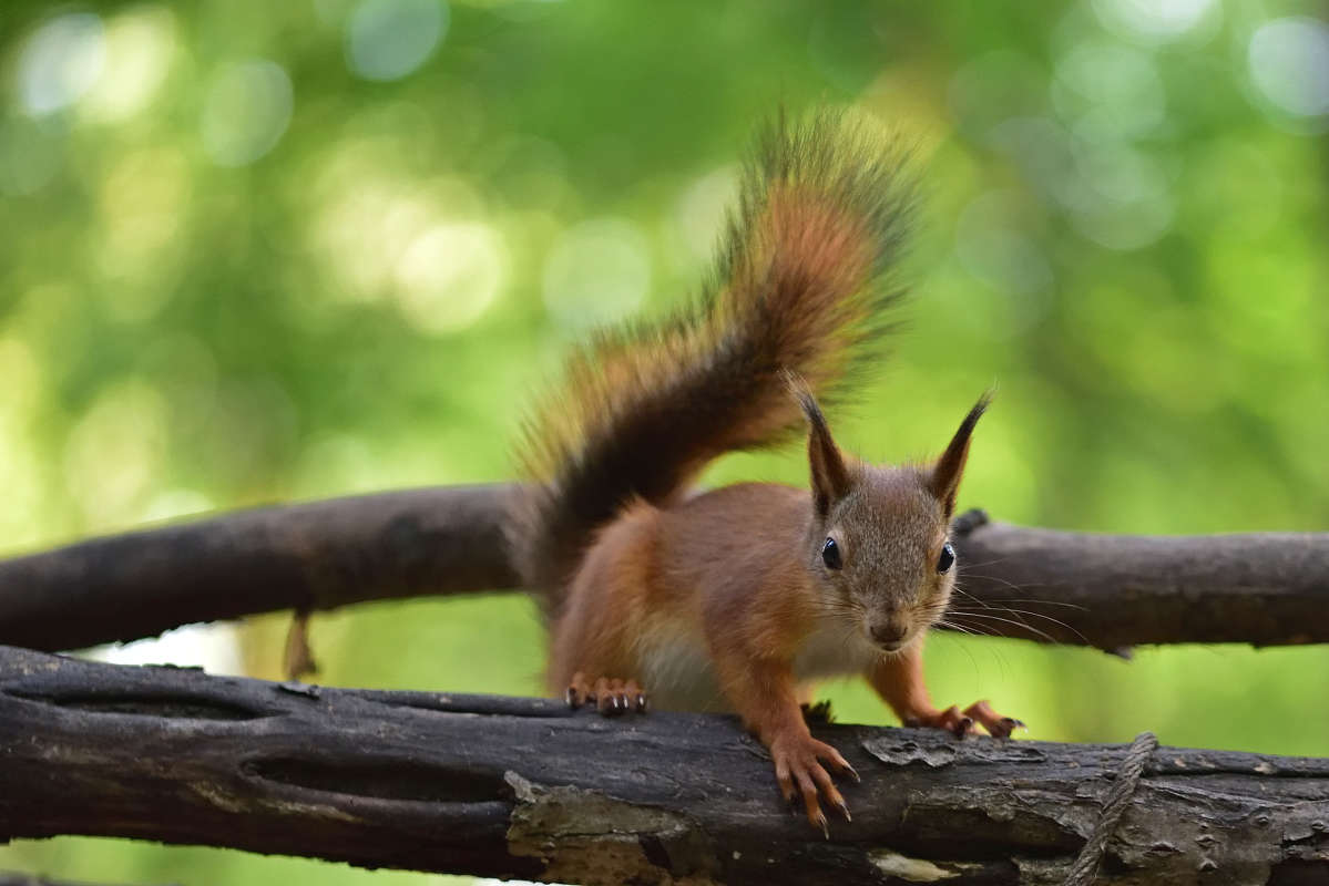 ... ����� �����  �� PhotoGeek.ru #�������� ��� #����� ��� ��� ���������