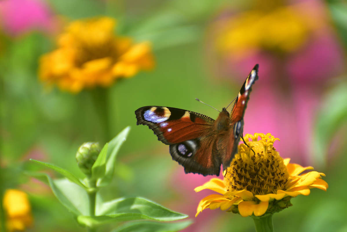 ... ����� �����  �� PhotoGeek.ru #����� #�������� ���