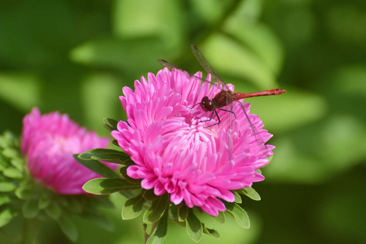 ... ����� �����  �� PhotoGeek.ru #�����