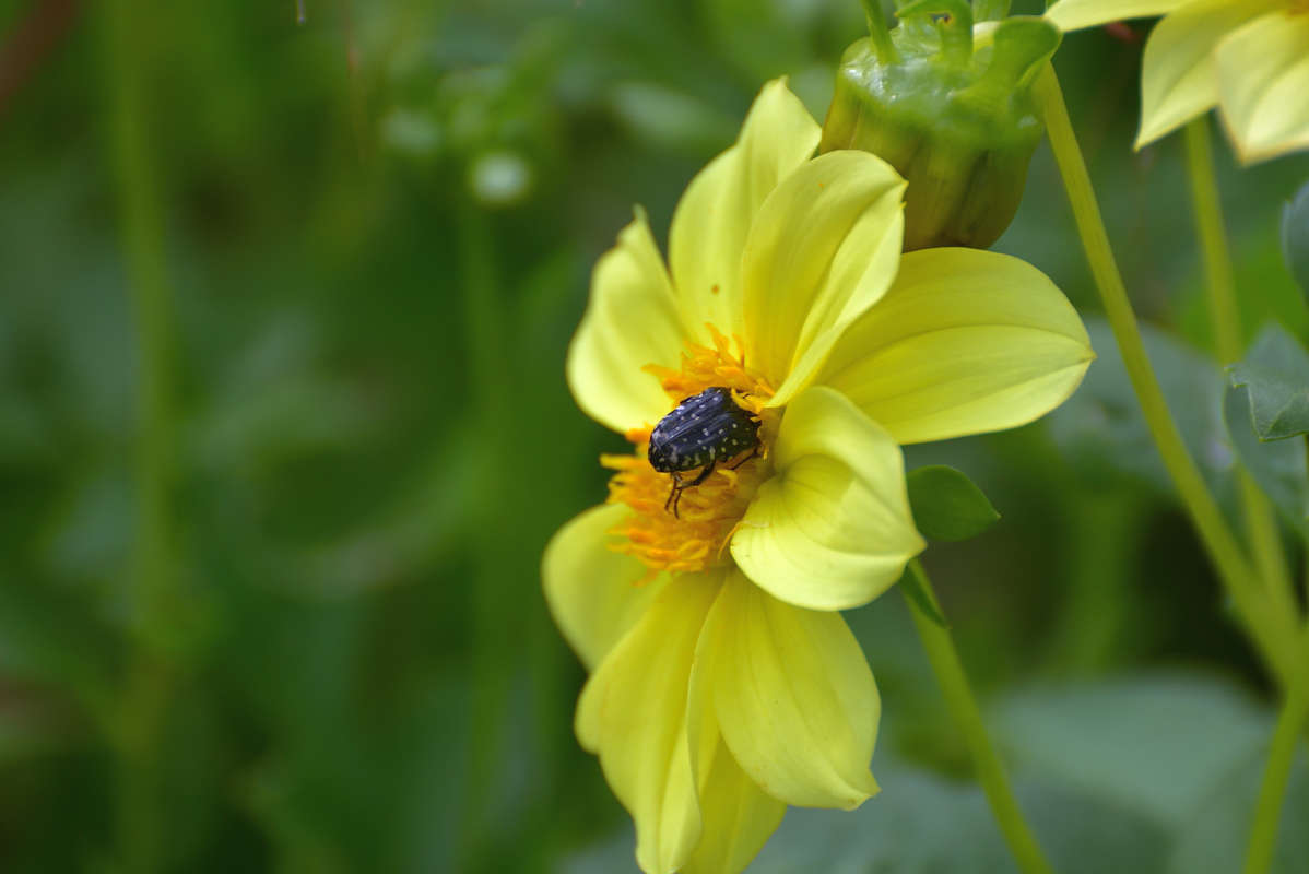 ... ����� �����  �� PhotoGeek.ru #�����