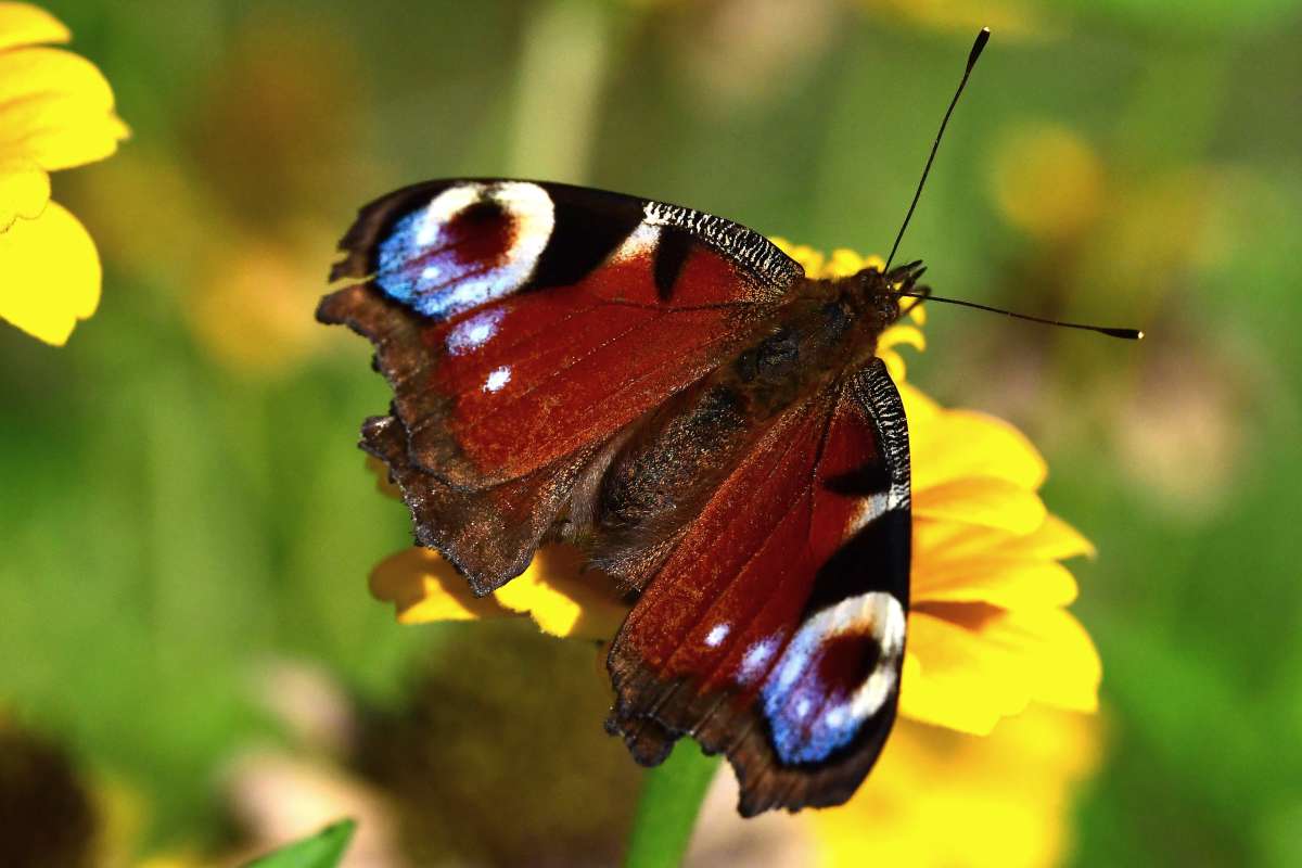 ... ����� �����  �� PhotoGeek.ru #�����