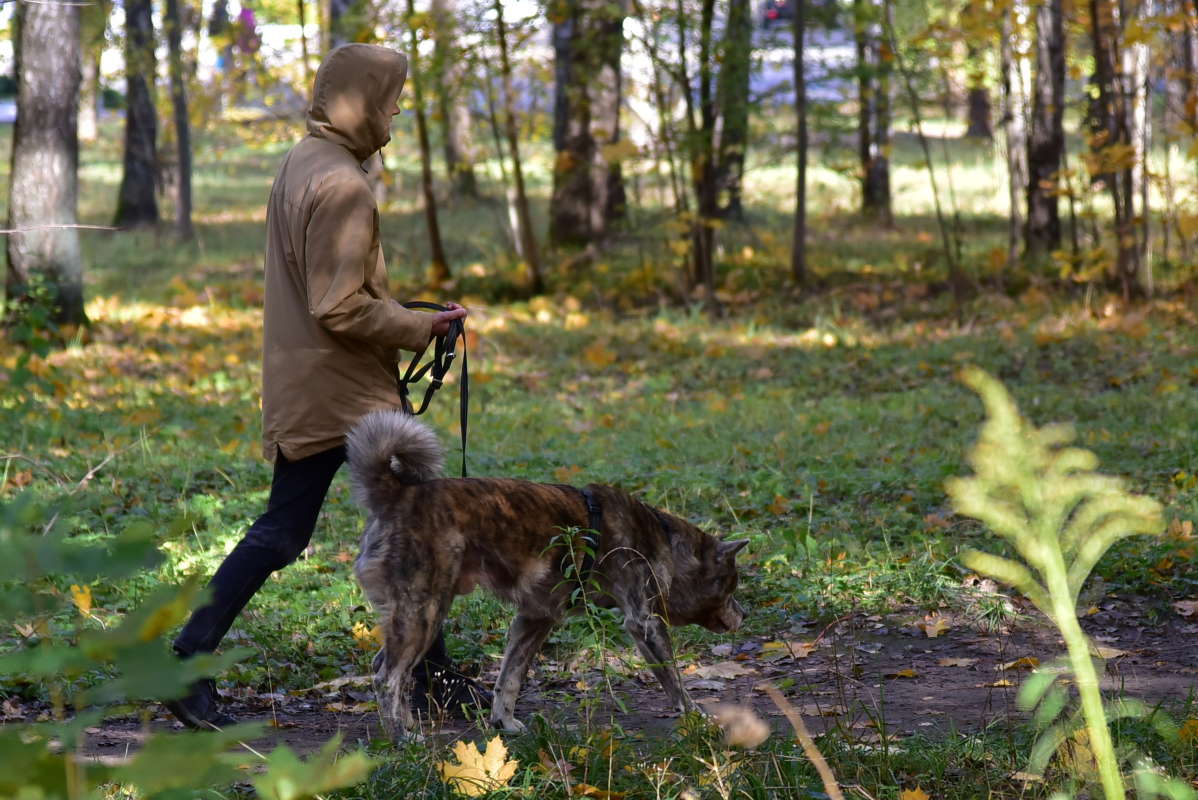 ... ����� �����  �� PhotoGeek.ru #�������� ��� #��������
