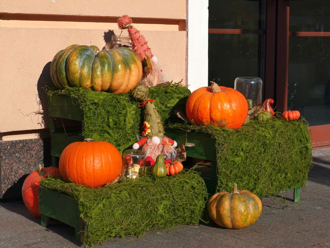 ... ����� �����  �� PhotoGeek.ru #�������� ����������