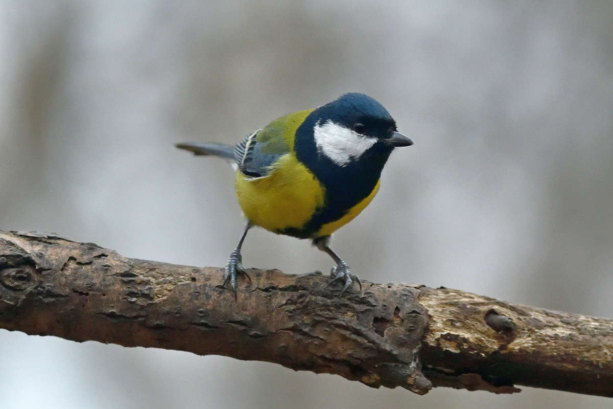 ... ����� �����  �� PhotoGeek.ru #�������� ���