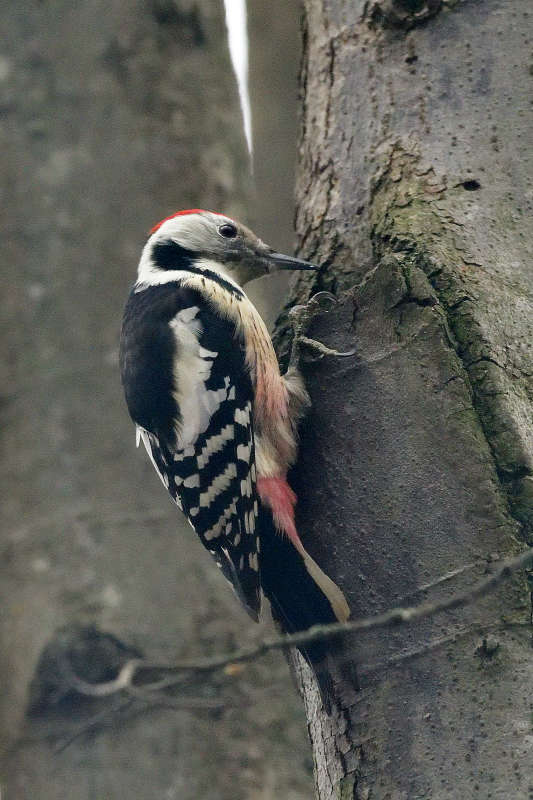 ... ����� �����  �� PhotoGeek.ru #�������� ���