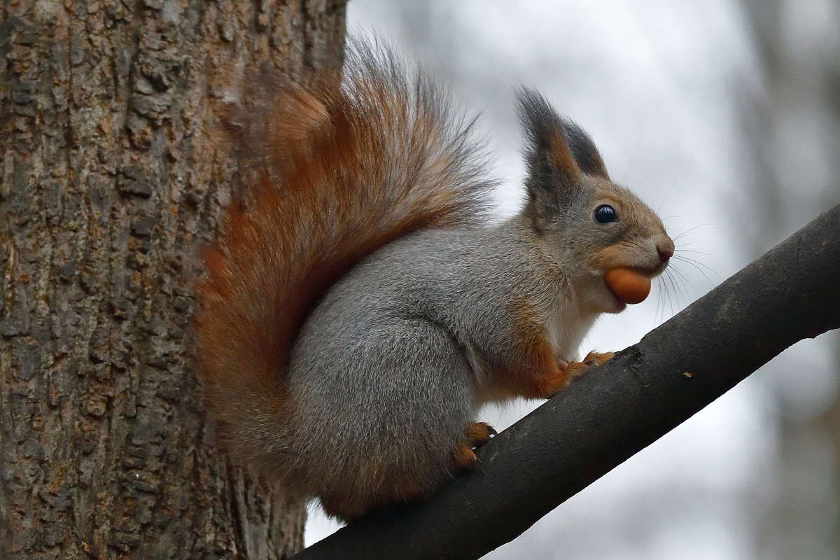 ... ����� �����  �� PhotoGeek.ru #�������� ���