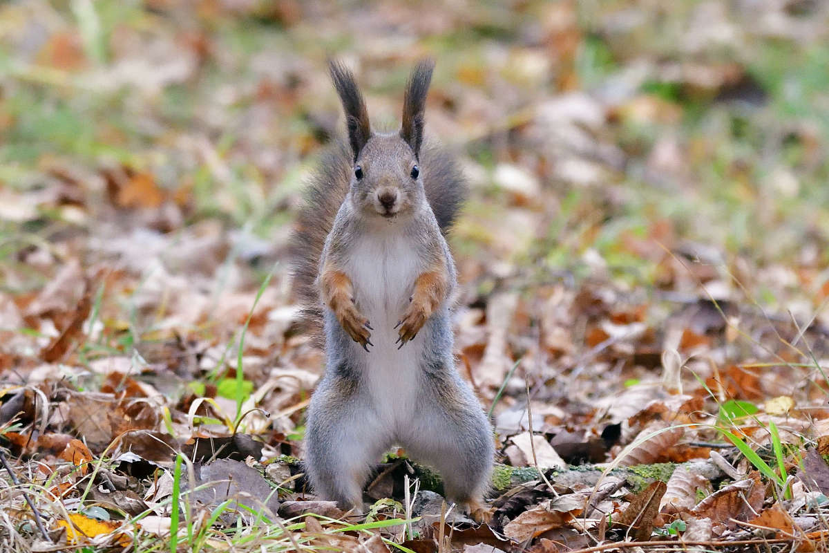 ... ����� �����  �� PhotoGeek.ru #�������� ���